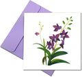 Purple Orchid Card Birthday Floral Romantic Mother Day 15Cm X 15Cm