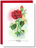 Rose Flower Thinking Of You Floral Thank You Anniversary Birthday