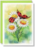 White Daisy And Ladybug (apr) Birthday Anniversary Mother S Day